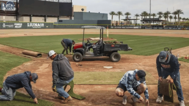 Aviators Lay New Sod At Las Vegas Ballpark Ahead Of Feb. 27 Classic