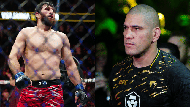 Magomed Ankalaev Suggests Alex Pereira Felt ‘Greased’ in UFC 313 Bout