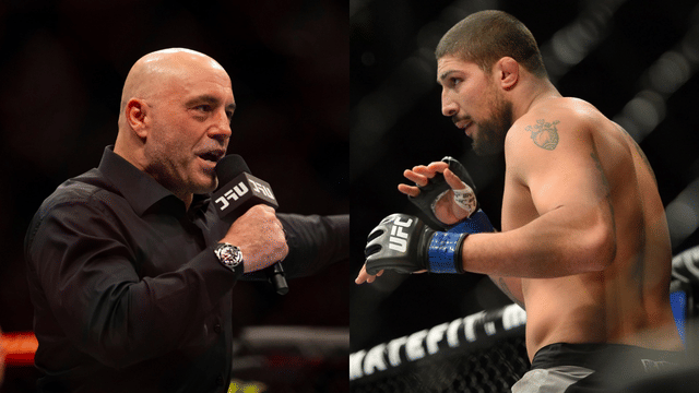 Joe Rogan Reveals Friend Brendan Schaub Was KO’d ‘All the Time’ in Training