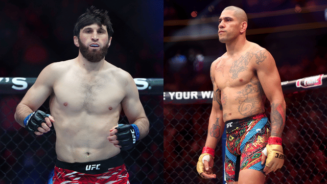 Magomed Ankalaev Admits Surprise at Alex Pereira’s Strong Takedown Defense
