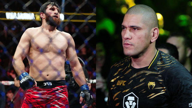 Dustin Jacoby Warns Magomed Ankalaev Not to Underestimate Alex Pereira’s Knockout Power