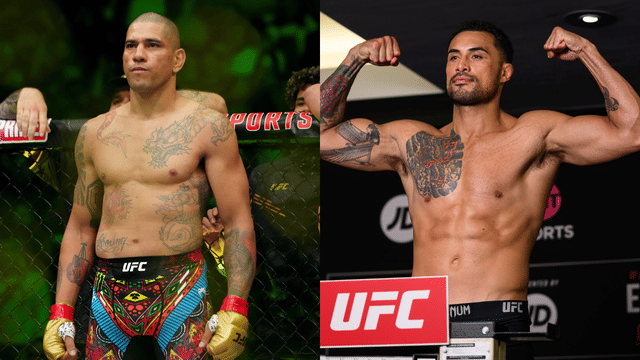 Carlos Ulberg Says Pereira Plans to Move to Heavyweight Instead of Defending His Title