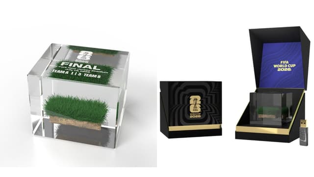 FIFA Selling Unique 2026 World Cup Final Memorabilia for $450