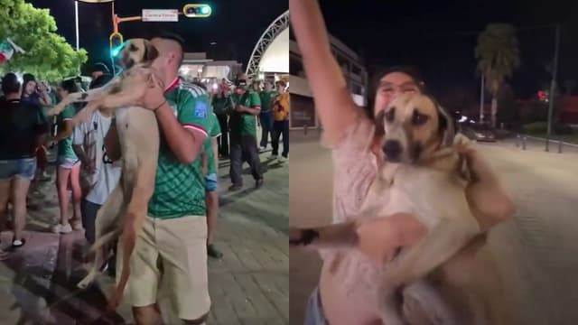 2026 World Cup Celebration Helps Lost Dog Reunite With Family