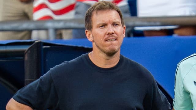 Arne Friedrich Wants Germany to Sack Julian Nagelsmann As Manager