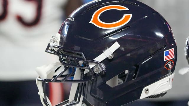 Bears Heading Back to United Kingdom for 2026 Summer Tour