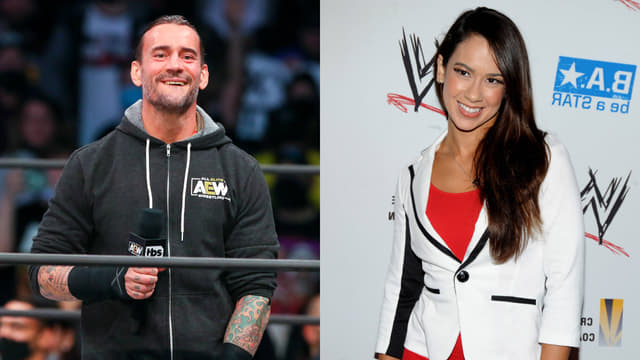 CM Punk Calls Wife AJ Lee ‘Incredibly Cool’ After WarGames Submission Win