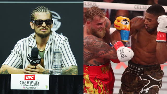 Sean O’Malley Defends Jake Paul Over Anthony Joshua Loss