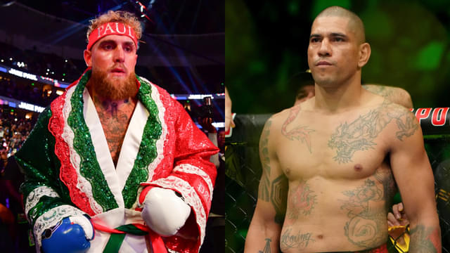 Jake Paul Pushes for Showdown with Alex Pereira, Seeks UFC Clearance