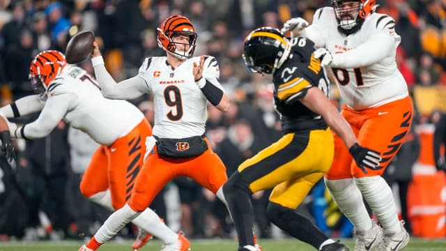 James Harrison Trying His Best to Bring Joe Burrow to Steelers