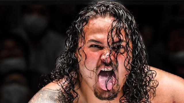 WWE Star and Bloodline Member Announces Exit from Company