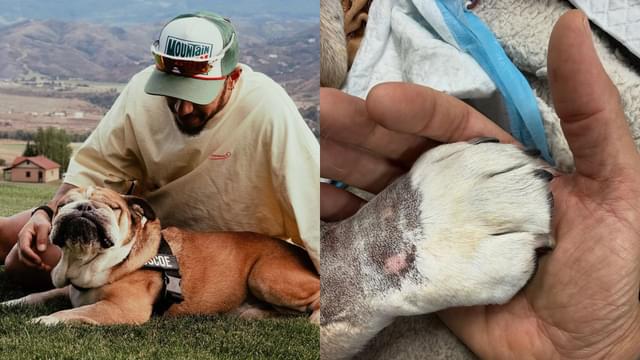Lewis Hamilton Pens Emotional Tribute After Roscoe’s Passing