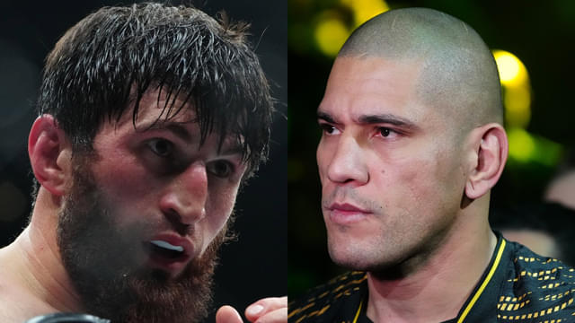 Alex Pereira Drops One-Word Reply Ahead of Magomed Ankalaev Rematch at UFC 320