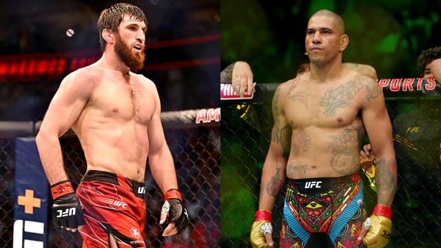 Alex Pereira Claps Back at Magomed Ankalaev’s “Tire Shop” Jab Ahead of UFC 320