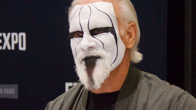 Sting Reflects on Retiring Iconic Face Paint After Farewell Tour