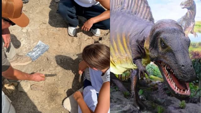Tom Brady “Learning About Dinosaurs” With Daughter Vivian Before NFL Season