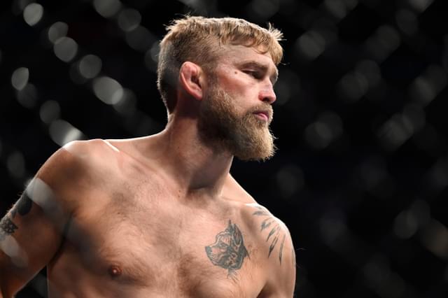 Alexander Gustafsson in Talks With Misfits Boxing for UFC Alumni Clash