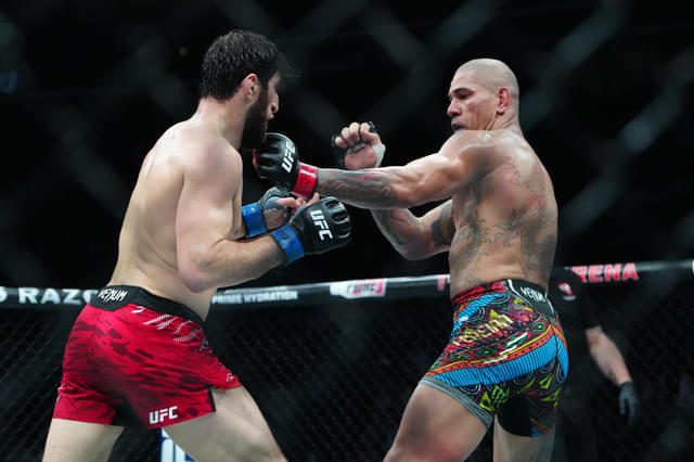 Magomed Ankalaev Dismisses Alex Pereira’s Wrestling Prep Ahead of Rematch