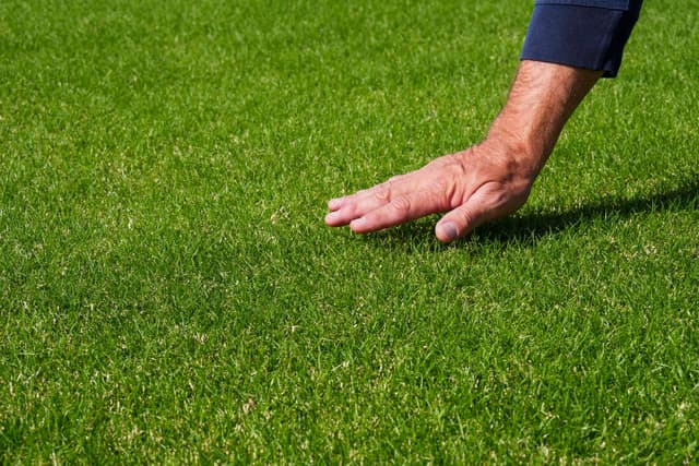 NFL Players Vouch for Natural Grass Amid FIFA World Cup Makeover