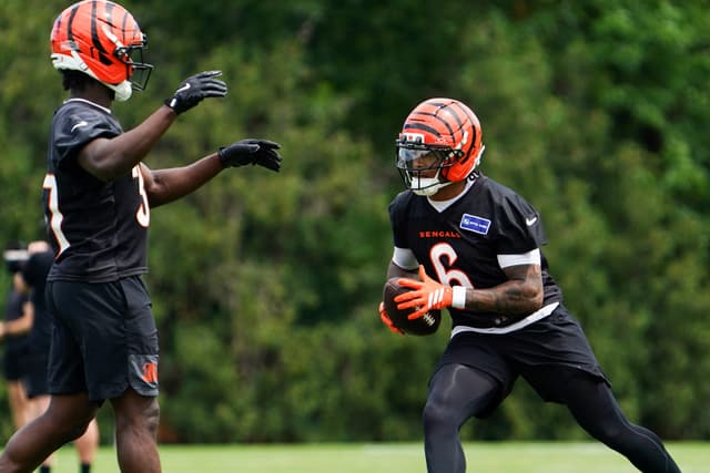 Bengals Cancel Rest of Their Mandatory Minicamp