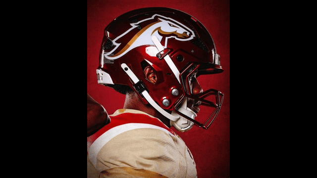 UFL Co-Owner Hints Birmingham Stallions Could Relocate