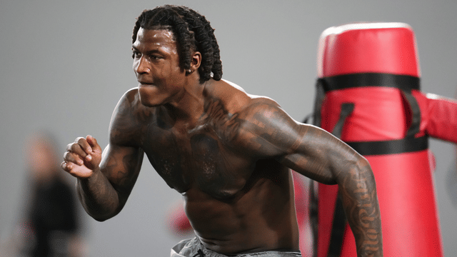 Arvell Reese Visits Six Top-12 Teams Ahead Of NFL Draft