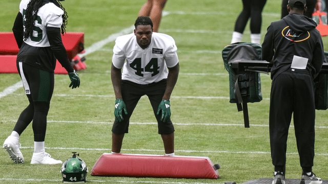 Jets LB Jamien Sherwood Praises Demario Davis' Impact on Jets