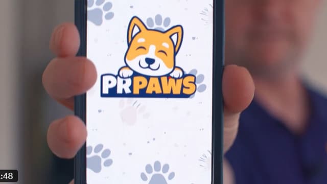 SEC Shorts Mocks Lane Kiffin, Juice the Dog After LSU Move