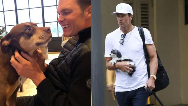 Tom Brady Reveals His Dog Junie Is a Clone of Late Pet Lua